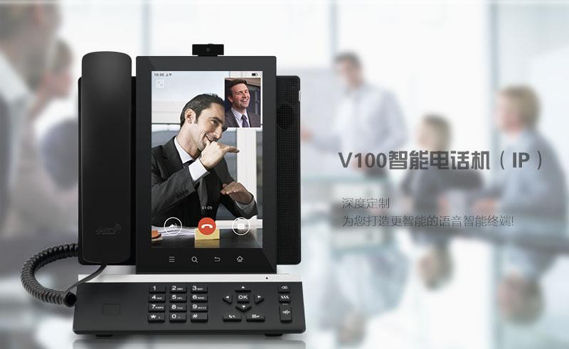 T3907-V100ԒCaƷB